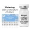 STAYVE Whitening Stem Cell Culture